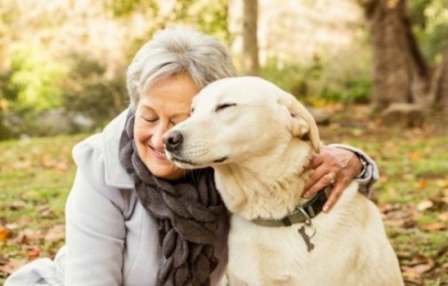 Confira 5 benefícios que os pets trazem à saúde do idoso